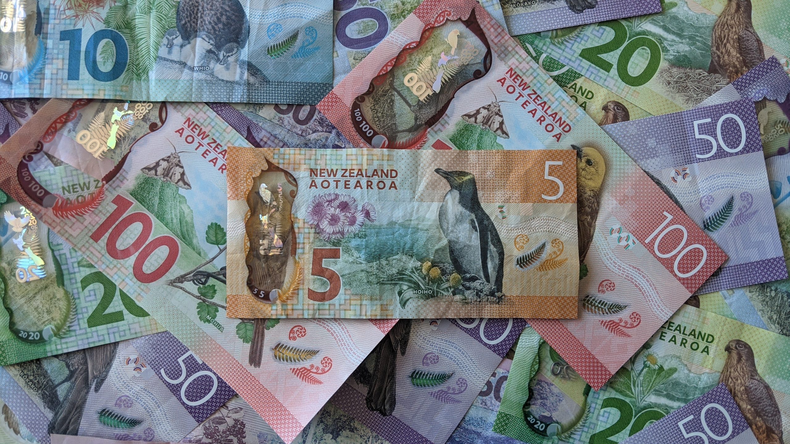nz money