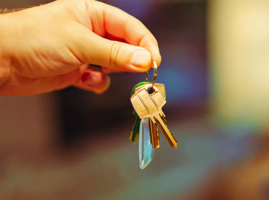 Property purchase and legal due diligence